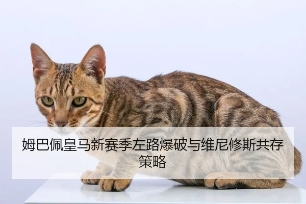 姆巴佩皇马新赛季左路爆破与维尼修斯共存策略