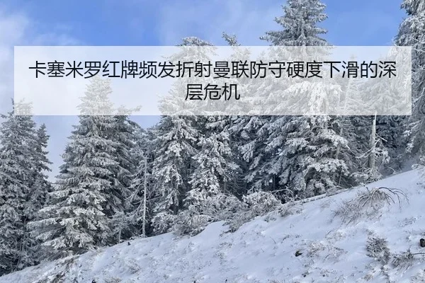 ka-sai-mi-luo-hong-pai-pin-fa-zhe-she-man-lian-fang-shou-ying-du-xia-hua-de-shen-ceng-wei-ji-2-602.jpg