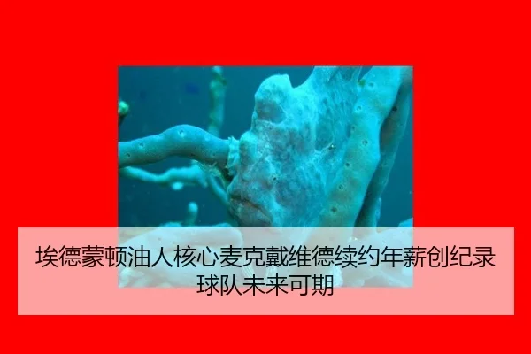 ai-de-meng-dun-you-ren-he-xin-mai-ke-dai-wei-de-xu-yue-nian-xin-chuang-ji-lu-qiu-dui-wei-lai-ke-qi-2-879.jpg