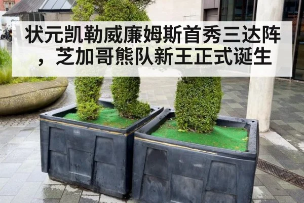 状元凯勒威廉姆斯首秀三达阵，芝加哥熊队新王正式诞生